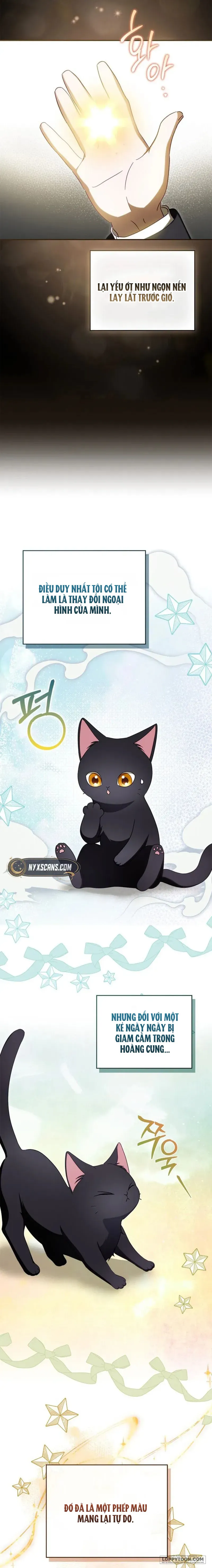 Công Tước Phu Nhân Đang Tìm Chồng Chap 8 - trang 22