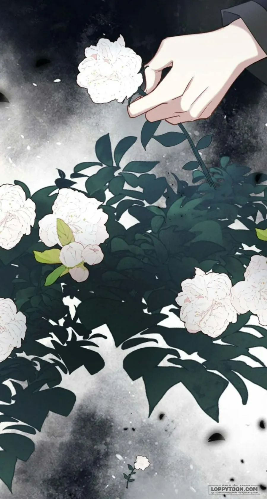 Dâng Cá Muối Cho Sư Tổ Chap 29 - trang 25
