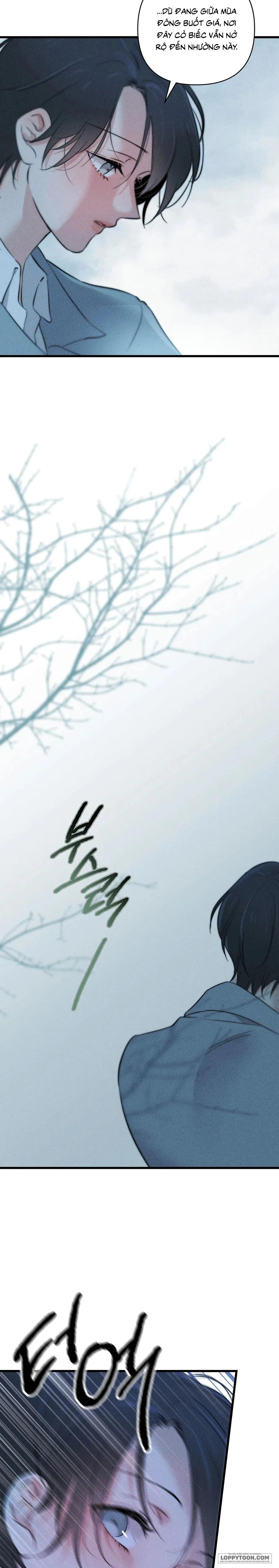 Những Ngày Cỏ Ba Lá Chap 3 - trang 39