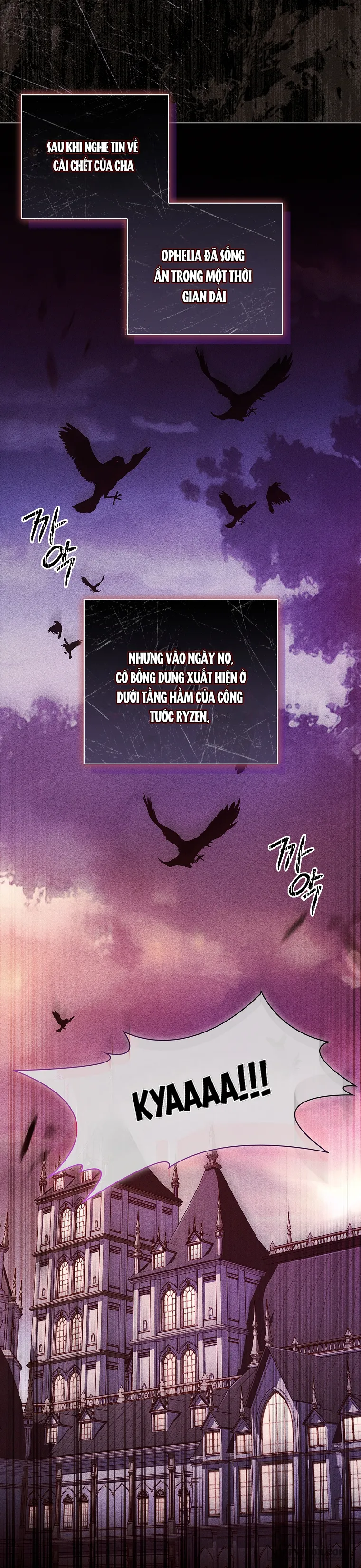 Chồng Ơi, Tại Sao Chúng Ta Không Thể Ly Hôn? Chap 2 - trang 11