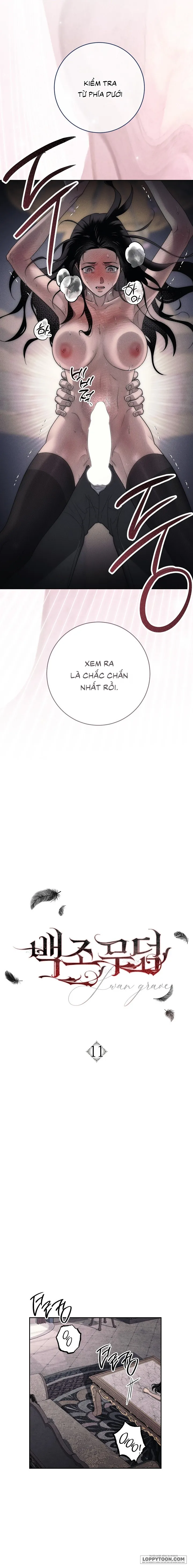 Mộ Thiên Nga Chap 11 - 🔞🔞🔞 - trang 1