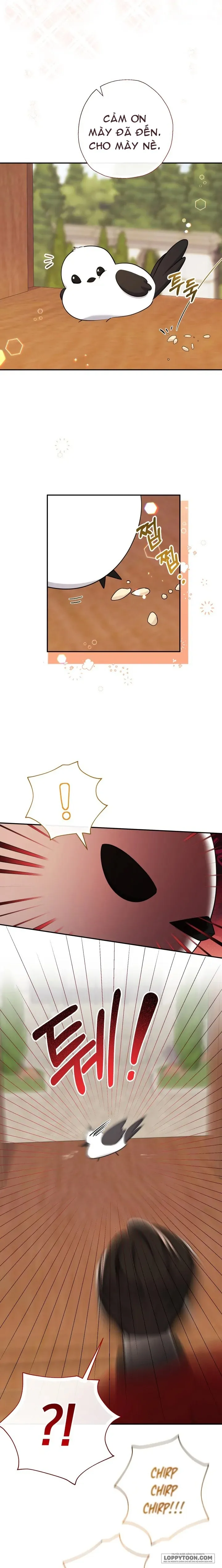 Tiểu Thư Tích Tiền Đi Bụi Chap 54 - trang 13