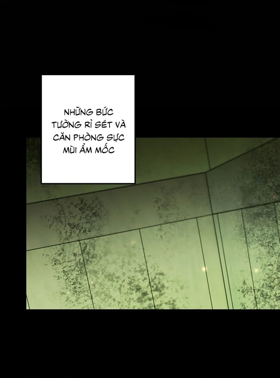 Bỗng Nhiên Trở Thành Lời Đồn Ma Quái Sau Khi Xuyên Không Chap 6 - trang 24