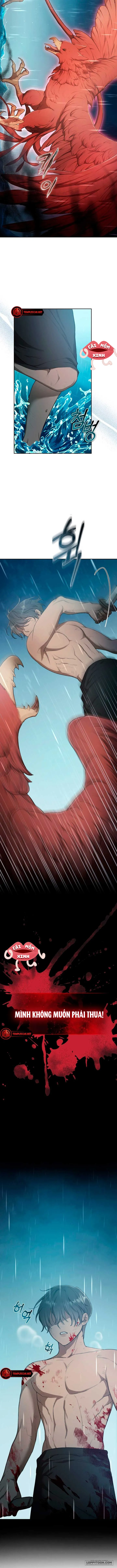Khu Rừng Hoang Dã Chap 4 - trang 11