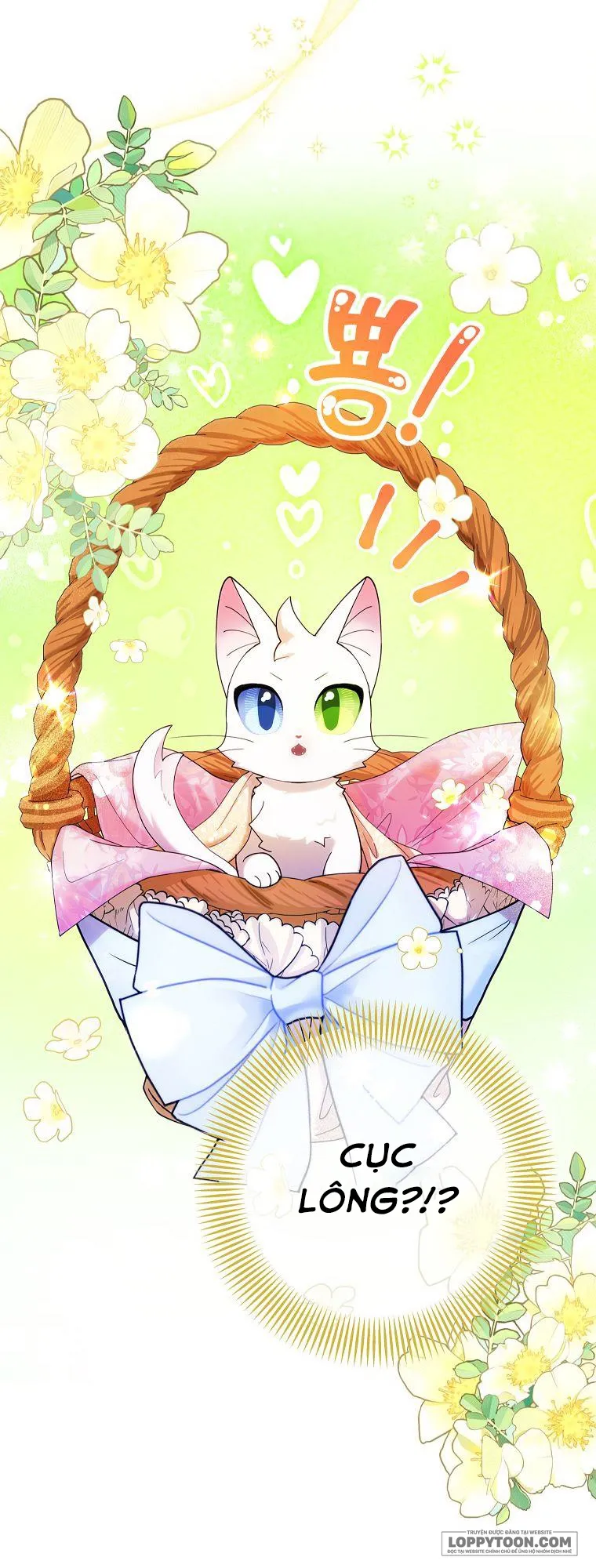 Trở Thành Miêu Nữ Của Hoàng Đế Chap 1 - trang 3