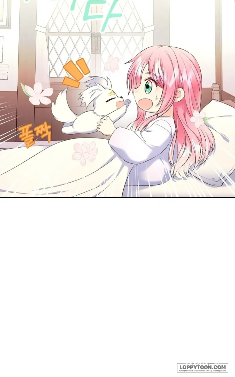 Tôi Sẽ Ly Hôn Với Anh Trai Nữ Chính Chap 77 - trang 46