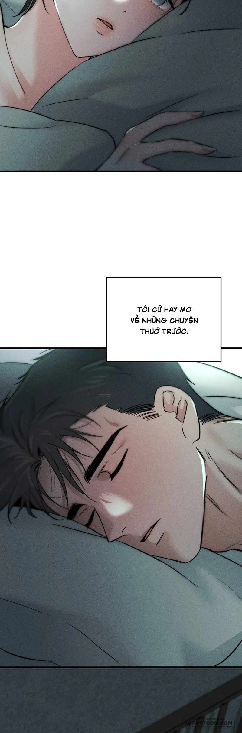 Những Ngày Cỏ Ba Lá Chap 11 - trang 11