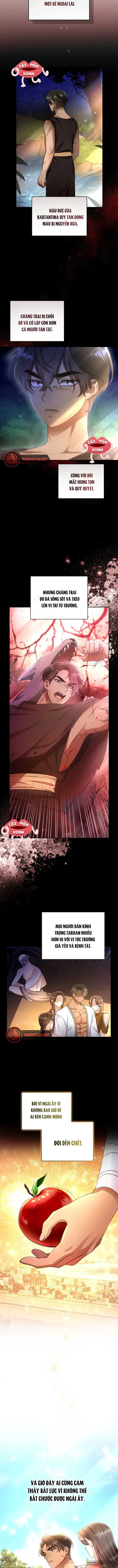 Khu Rừng Hoang Dã Chap 1 - trang 4