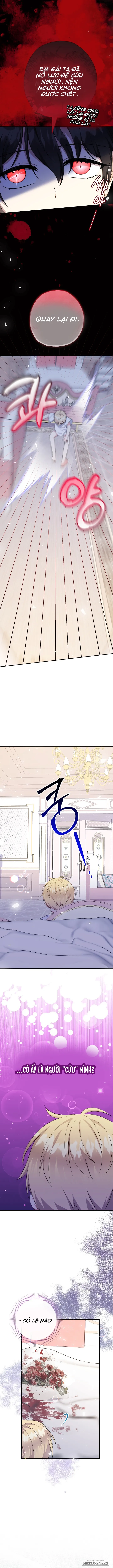 Tiểu Thư Tích Tiền Đi Bụi Chap 67 - trang 8