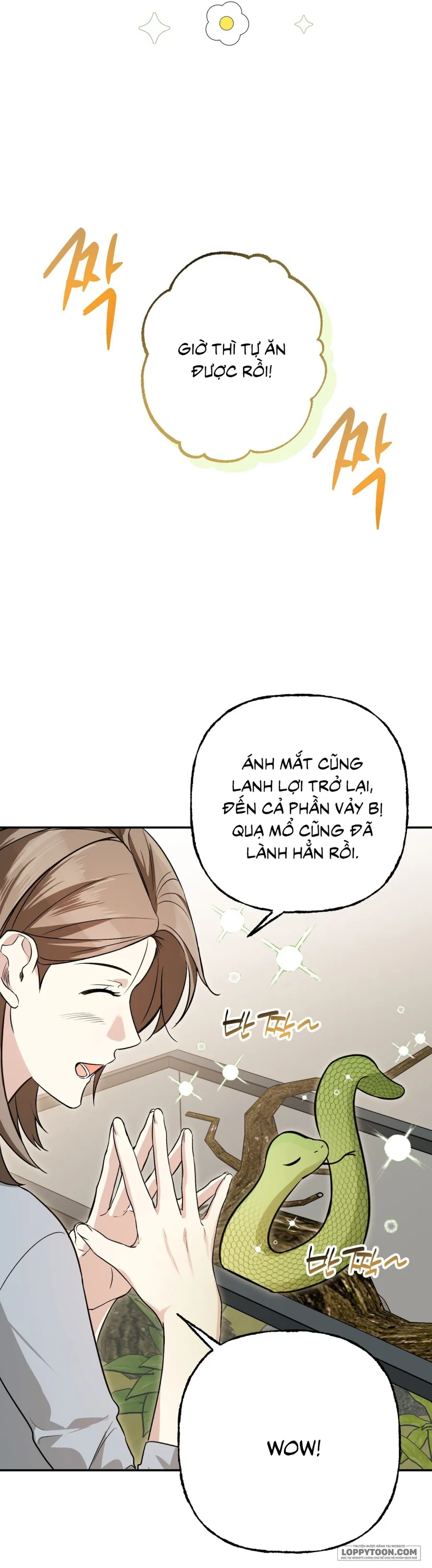 Nhặt Được Một Con Mãng Xà Tu Luyện Trên Núi Chap 1 - trang 23