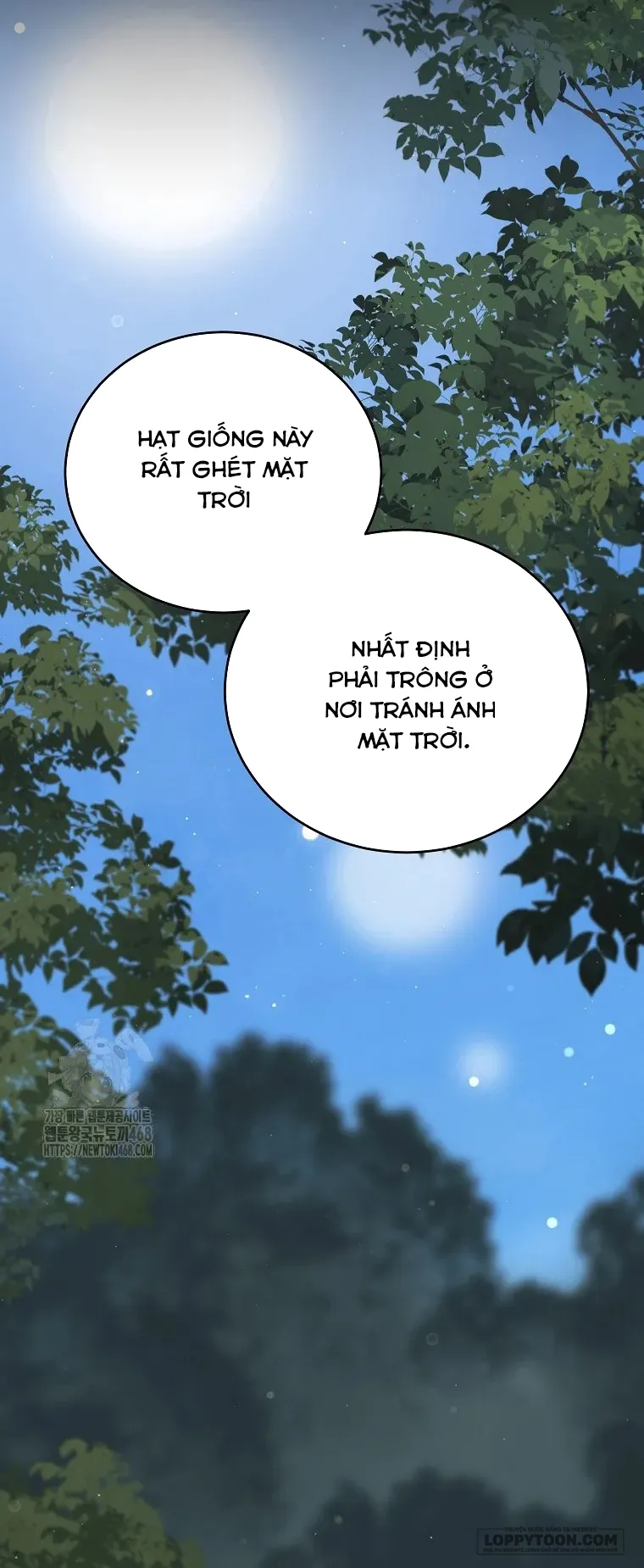 Bé Con Chốn Hoa Nở Chap 74 - trang 12