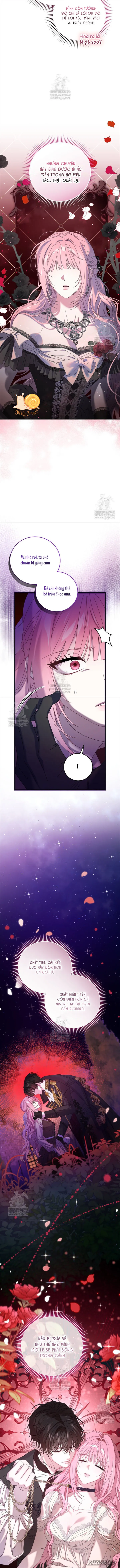 Kẻ Ám Ảnh Cuồng Tín Đang Cố Giam Cầm Tôi Chap 15 - trang 6