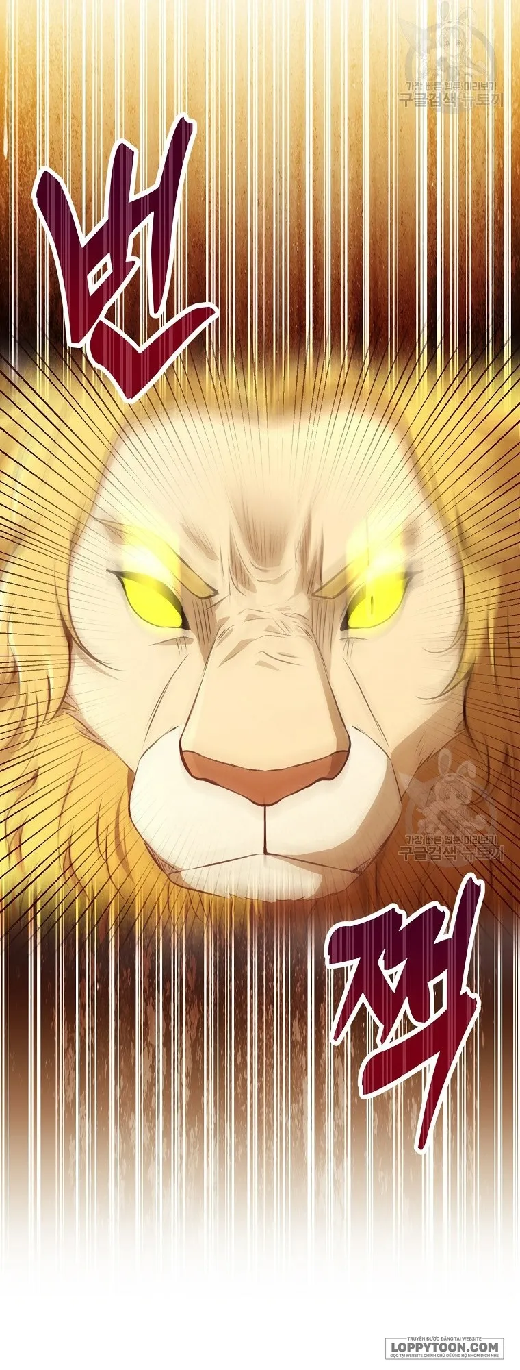Sóc Con Tài Năng Chap 61 - trang 26