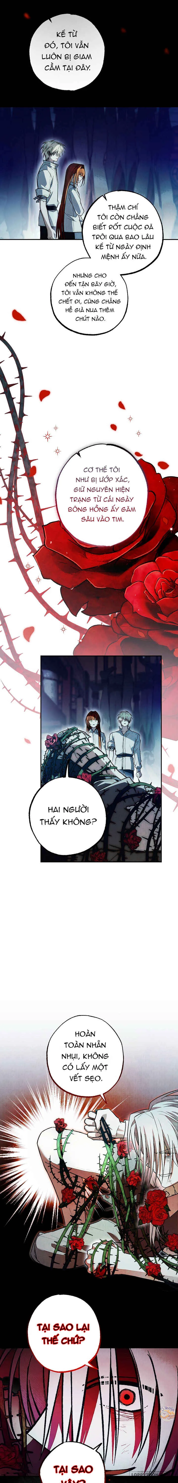 Chào Mừng Đến Với Dinh Thự Hoa Hồng Chap 46 - trang 9