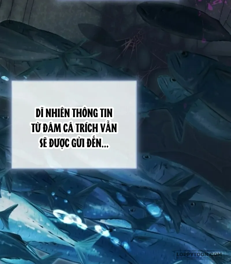 Bé Cá Voi Sát Thủ Phản Diện Chap 96 - trang 53