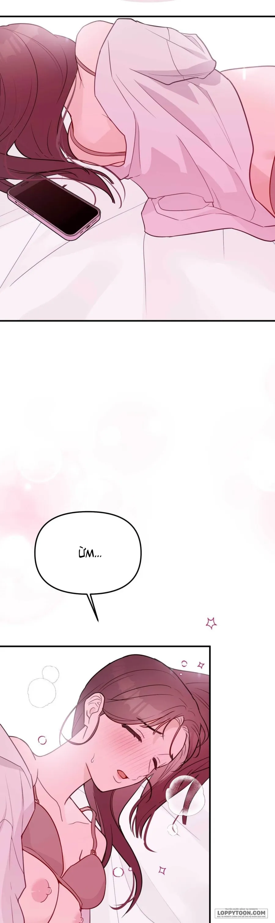 Tôi Nuôi Trai Chỉ Để "Thịt" Chap 21 - trang 17