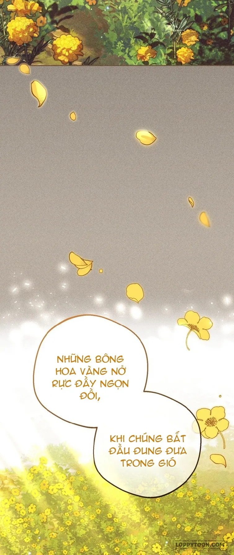 Được Yêu Thương Mà Còn Ngại Ngùng Sao Chap 100 - trang 50