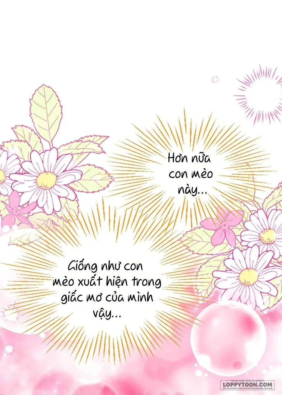 Đại Tiểu Thư Sao Phải Giả Nam Chap 68 - trang 63