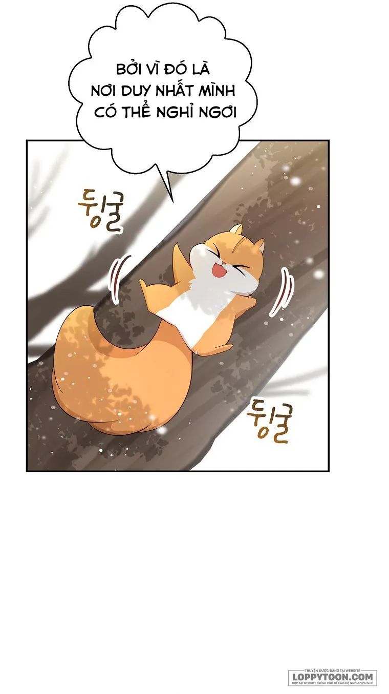 Sóc Con Tài Năng Chap 22 - trang 48