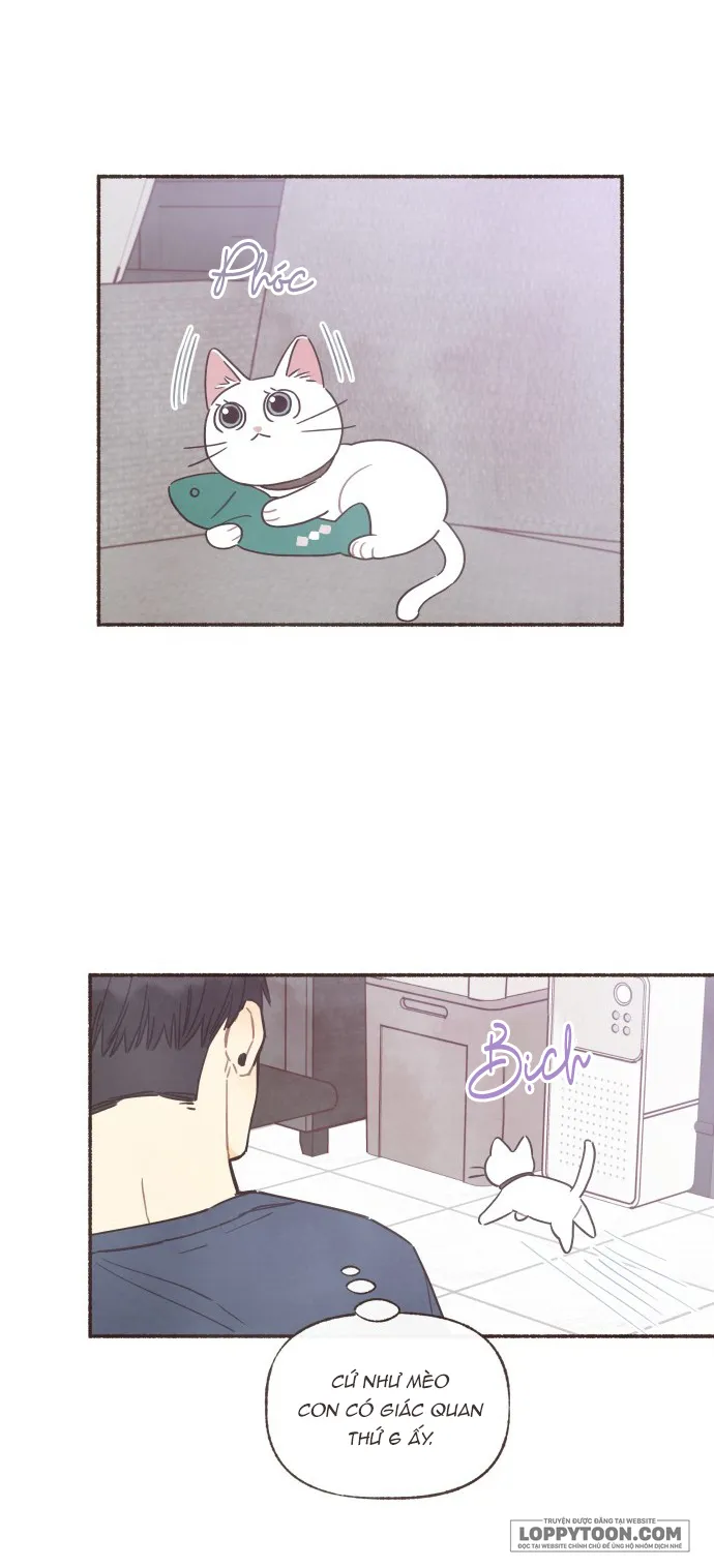 Cảm Xúc Chuyển Giao Chap 23 - trang 20