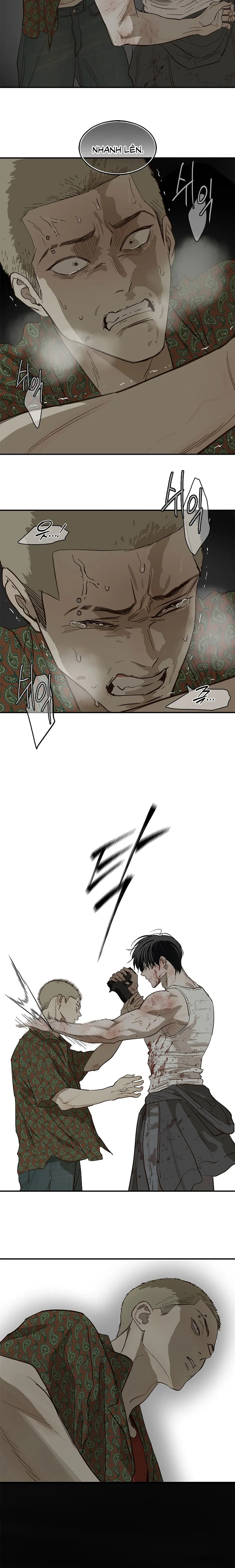 Đóa Hoa Là Mồi Nhử Chap 43 - trang 9