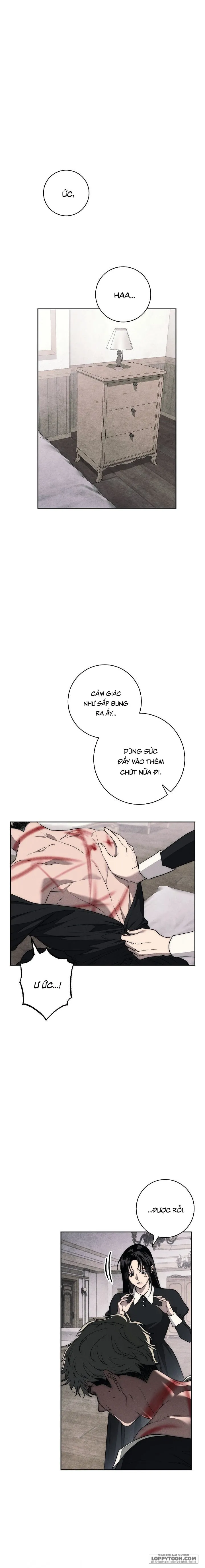 Mộ Thiên Nga Chap 36 - trang 1