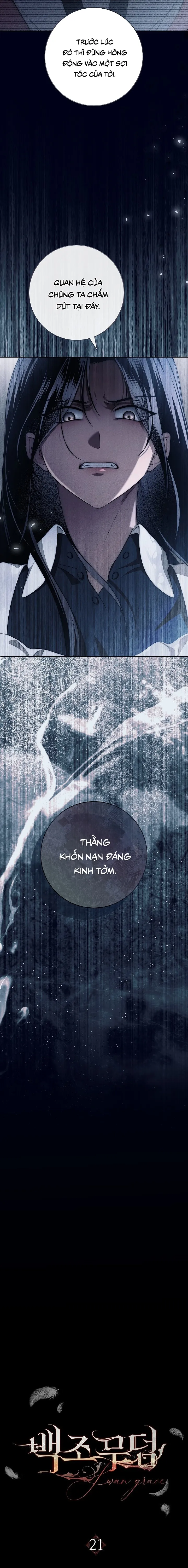 Mộ Thiên Nga Chap 21 - trang 2
