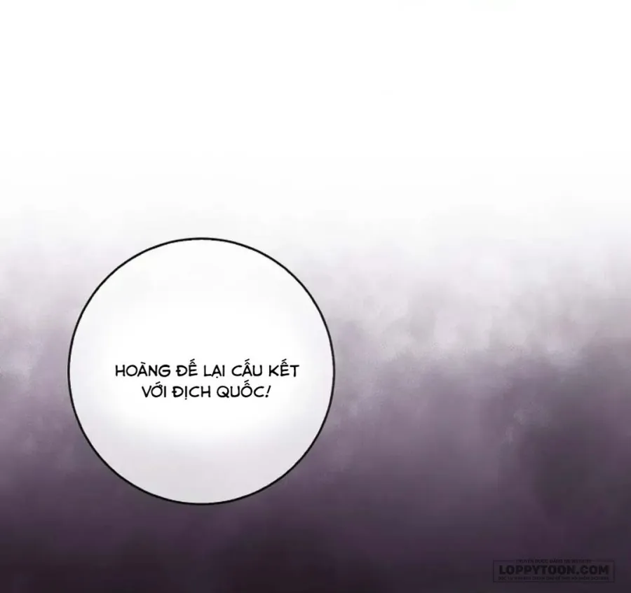 Sóc Con Tài Năng Chap 98 - trang 34