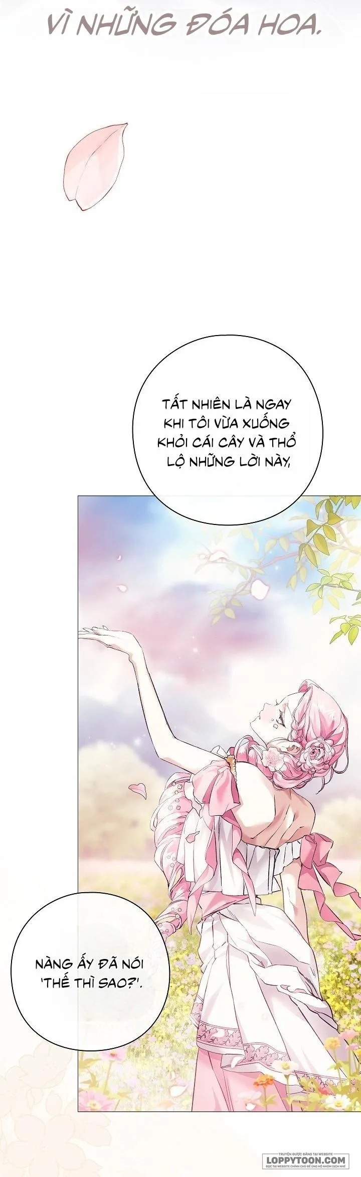 Dành Cho Các Nữ Thần: Dành Cho Daphne Chap 19 - trang 28