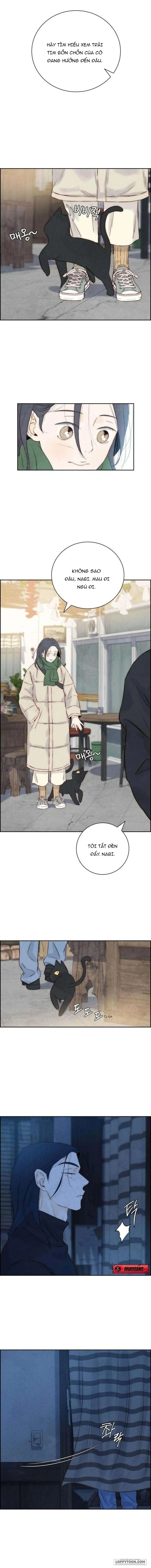 Chưa Từng Chạm Tới Em Chap 3 - trang 15