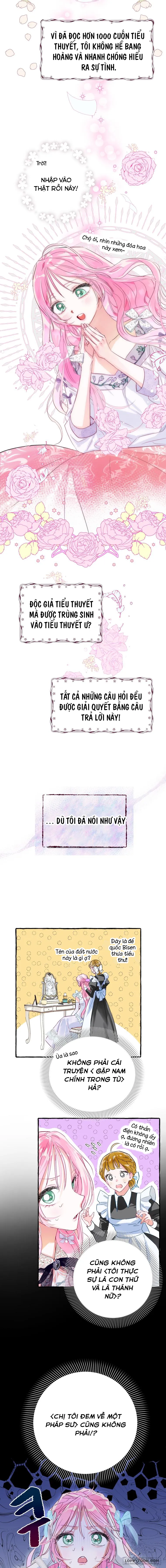 Bạn Sẽ Chết Nếu Không Biết Luật Tiểu Thuyết Chap 1 - trang 8