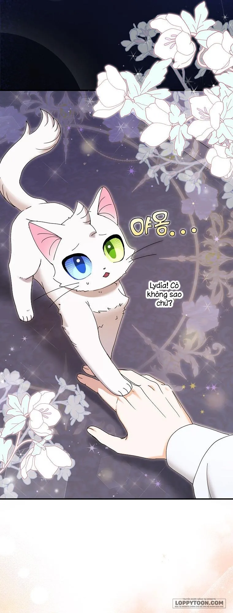 Trở Thành Miêu Nữ Của Hoàng Đế Chap 10 - trang 54