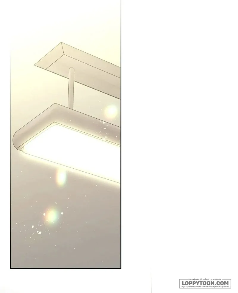 Tôi Sẽ Ly Hôn Với Anh Trai Nữ Chính Chap 66 - trang 12
