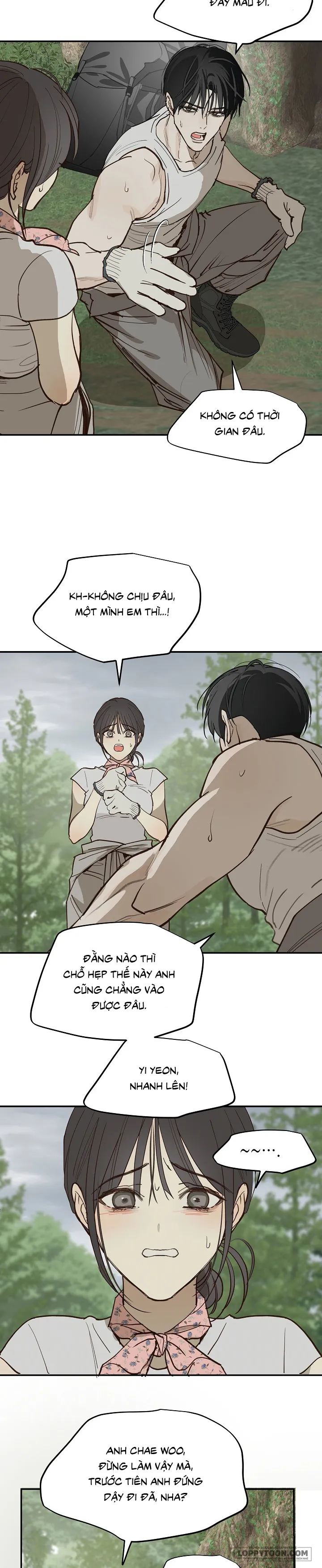Đóa Hoa Là Mồi Nhử Chap 56 - END SS2 - trang 11