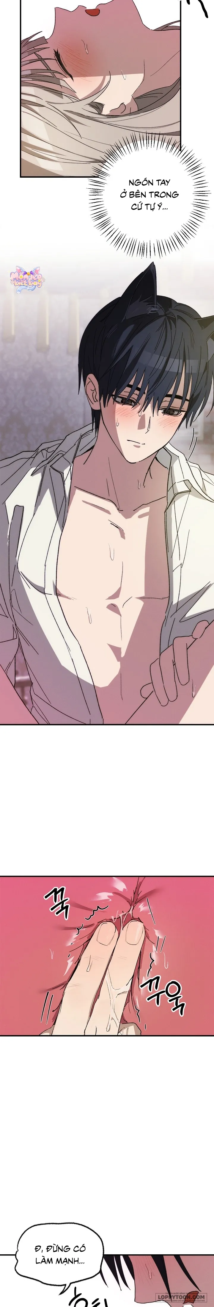 Lời Tuyên Thệ Của Loài Sói Chap 3 - H++ - trang 16