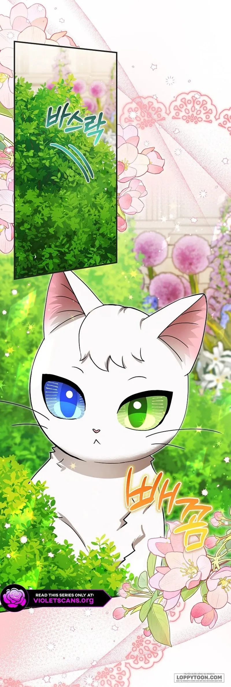Trở Thành Miêu Nữ Của Hoàng Đế Chap 84 - end ngoại truyện - trang 4