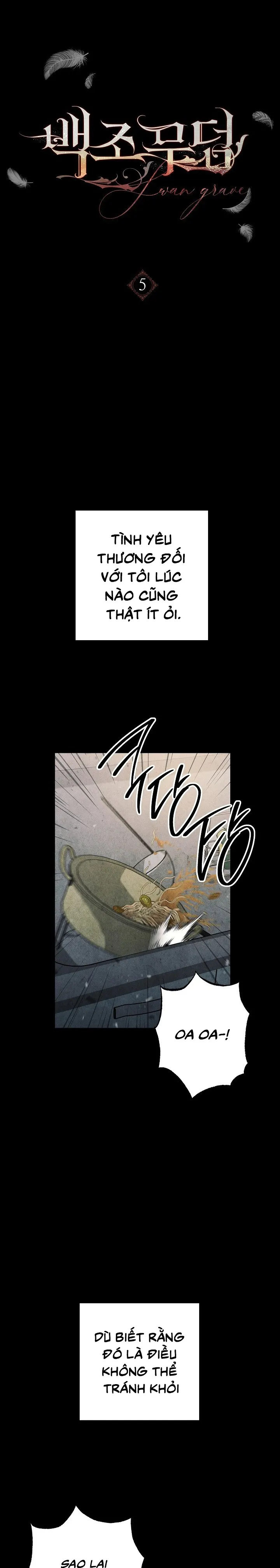 Mộ Thiên Nga Chap 5 - trang 17