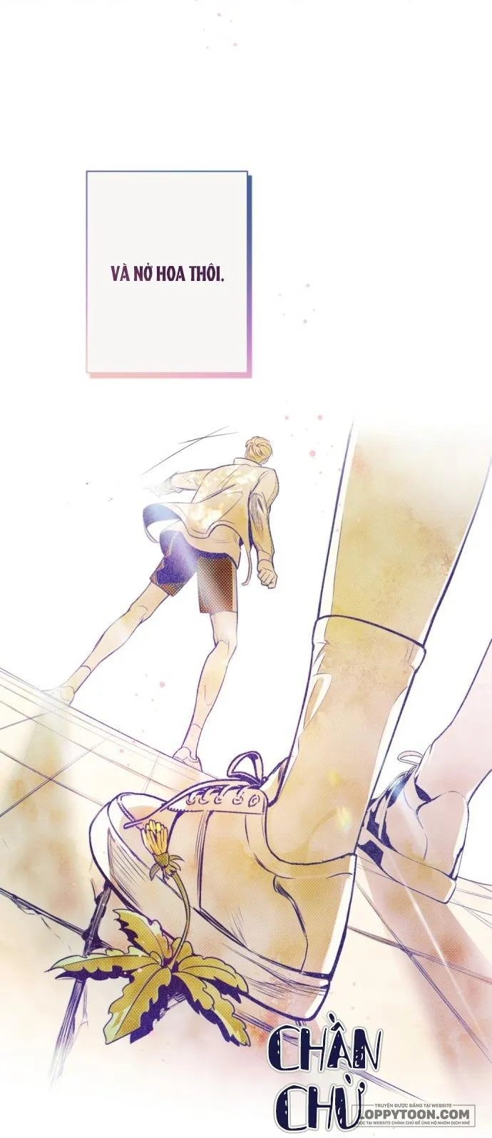 Trắc Nghiệm 4 Lựa Chọn Chap 8 - trang 39
