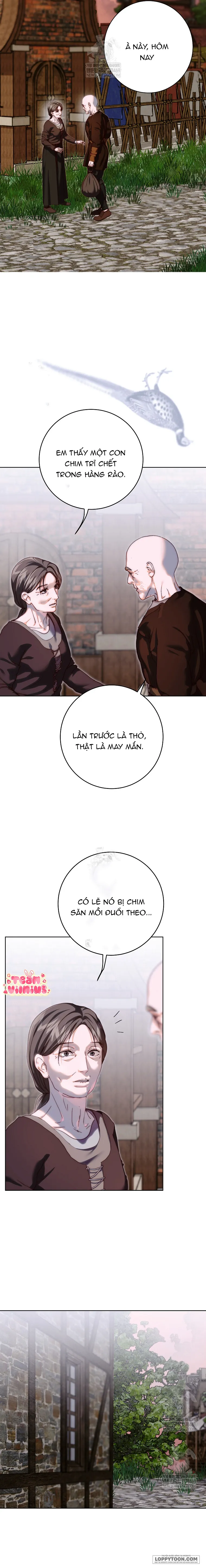Mảnh Vỡ Của Đôi Giày Thủy Tinh Chap 32 - trang 13