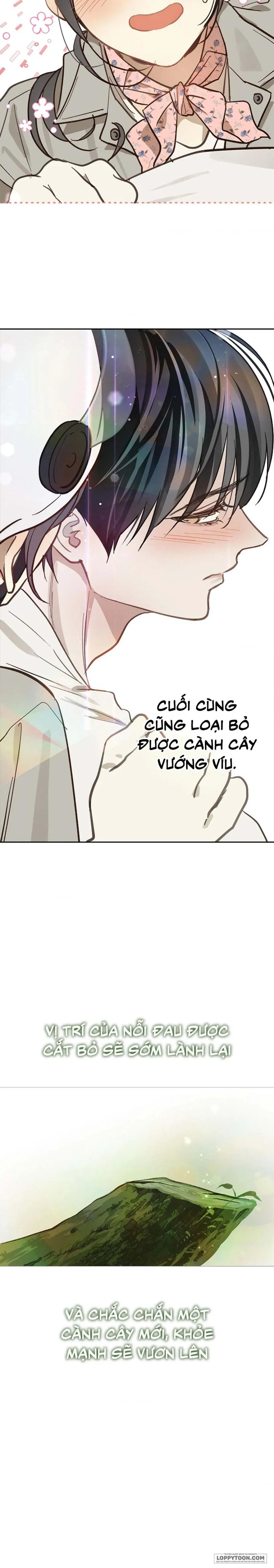 Đóa Hoa Là Mồi Nhử Chap 22 - trang 24