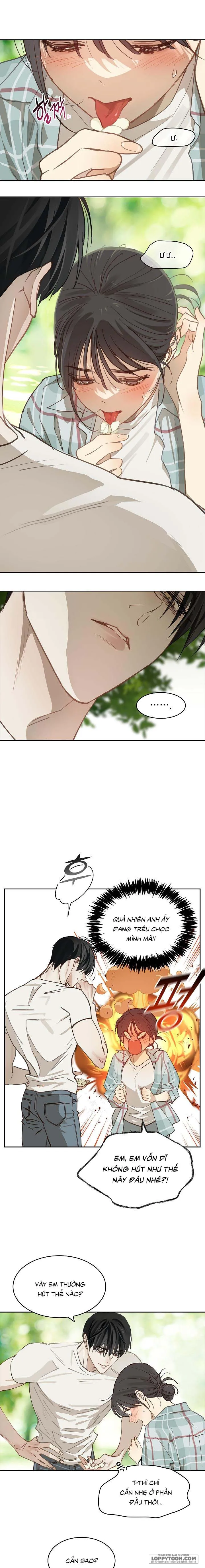 [KHÔNG CHE] Đóa Hoa Là Mồi Nhử Chap 19 - trang 3