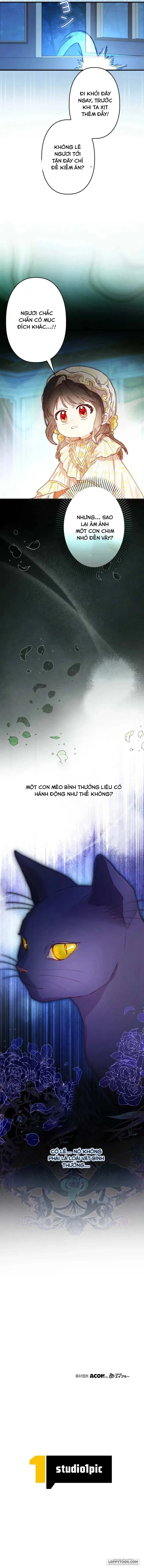 Sống Sót Như Nàng Công Chúa Song Sinh Chap 7 - trang 9