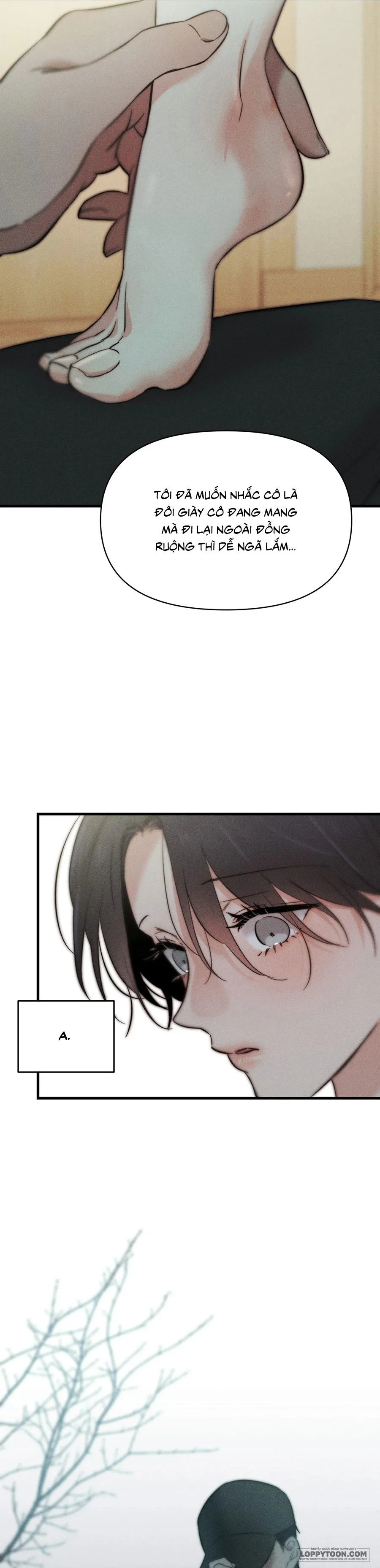 Những Ngày Cỏ Ba Lá Chap 4 - trang 21