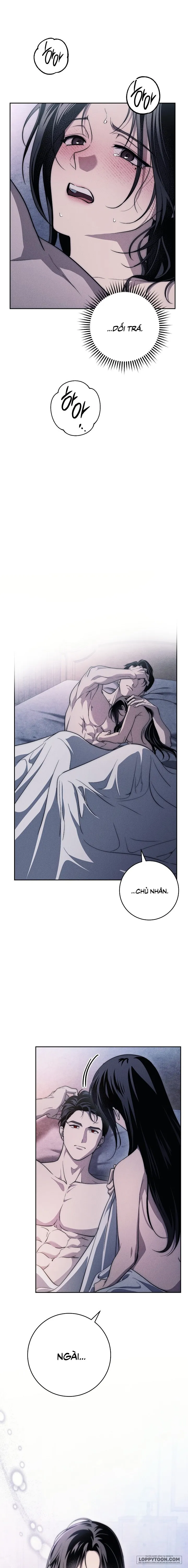 Mộ Thiên Nga Chap 32 - 🔞🔞🔞 - trang 13