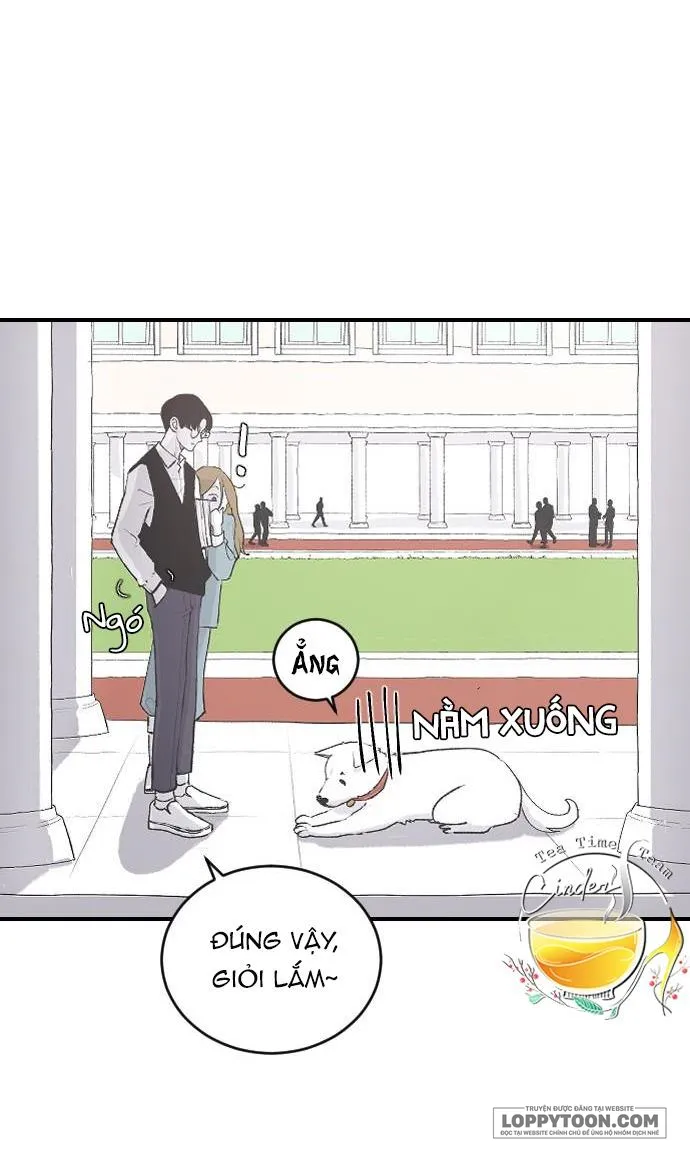 Ba Anh Trai Cực Phẩm Của Tôi Chap 8 - trang 24
