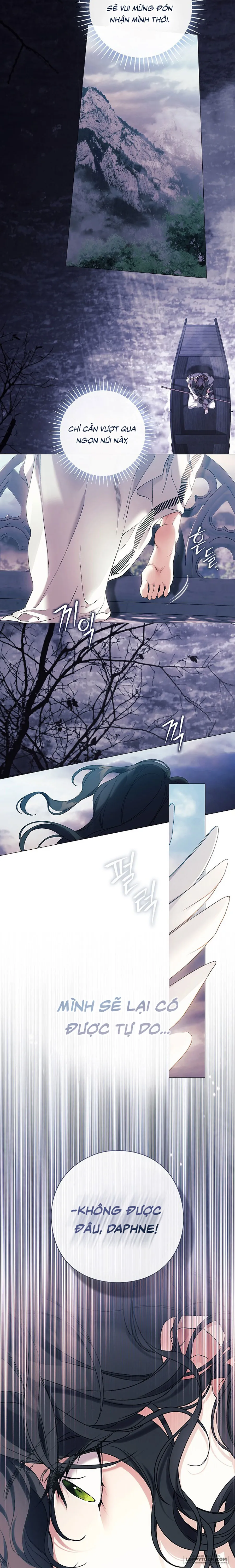 Dành Cho Các Nữ Thần: Dành Cho Daphne Chap 38 - trang 13