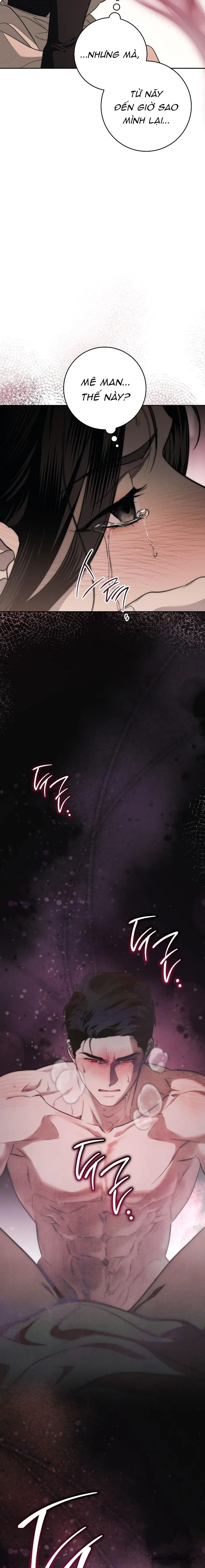 Mộ Thiên Nga Chap 2 - 🔞🔞 - trang 12