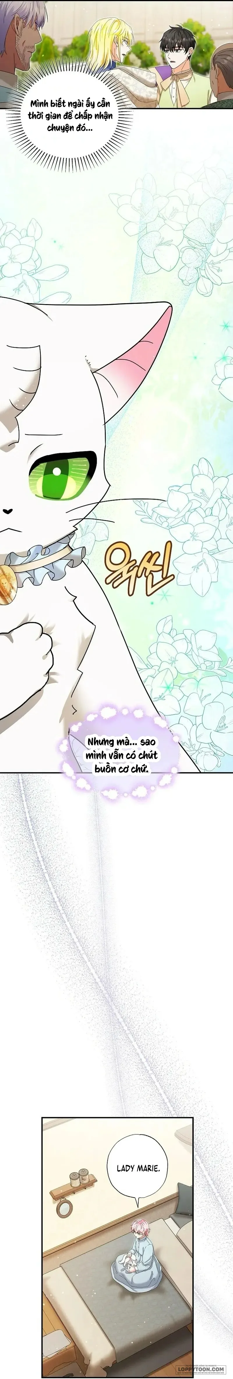 Trở Thành Miêu Nữ Của Hoàng Đế Chap 36 - trang 26
