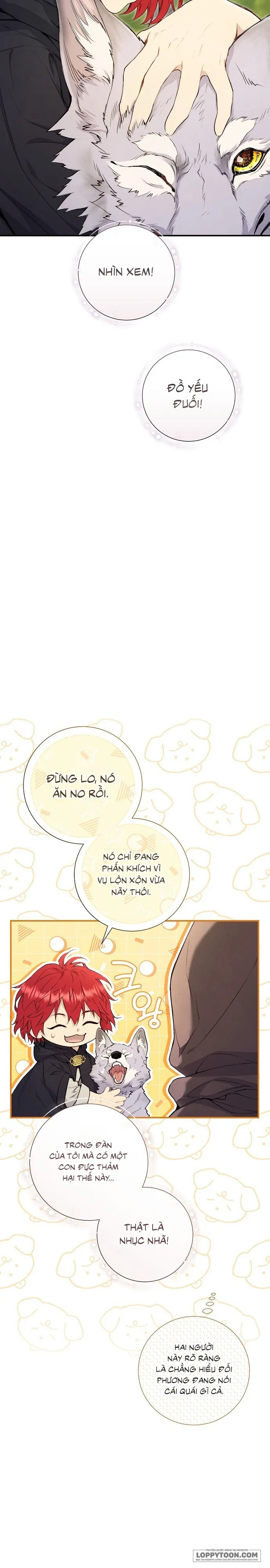 Đừng Tìm Kiếm Ác Nữ Đã Hồi Sinh Chap 7 - trang 16