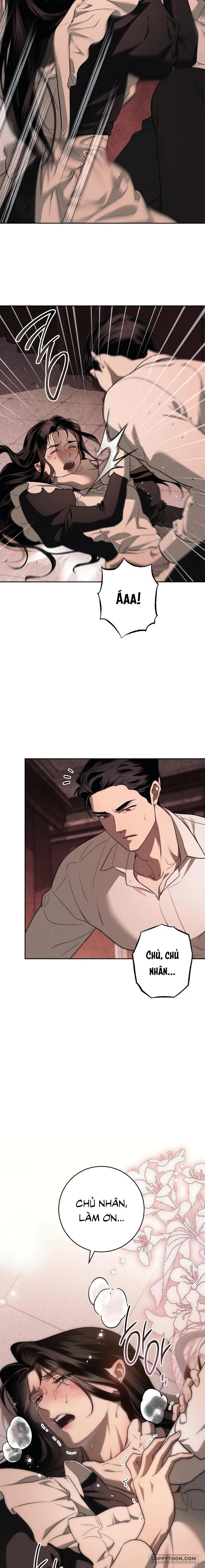 Mộ Thiên Nga Chap 2 - 🔞🔞 - trang 15